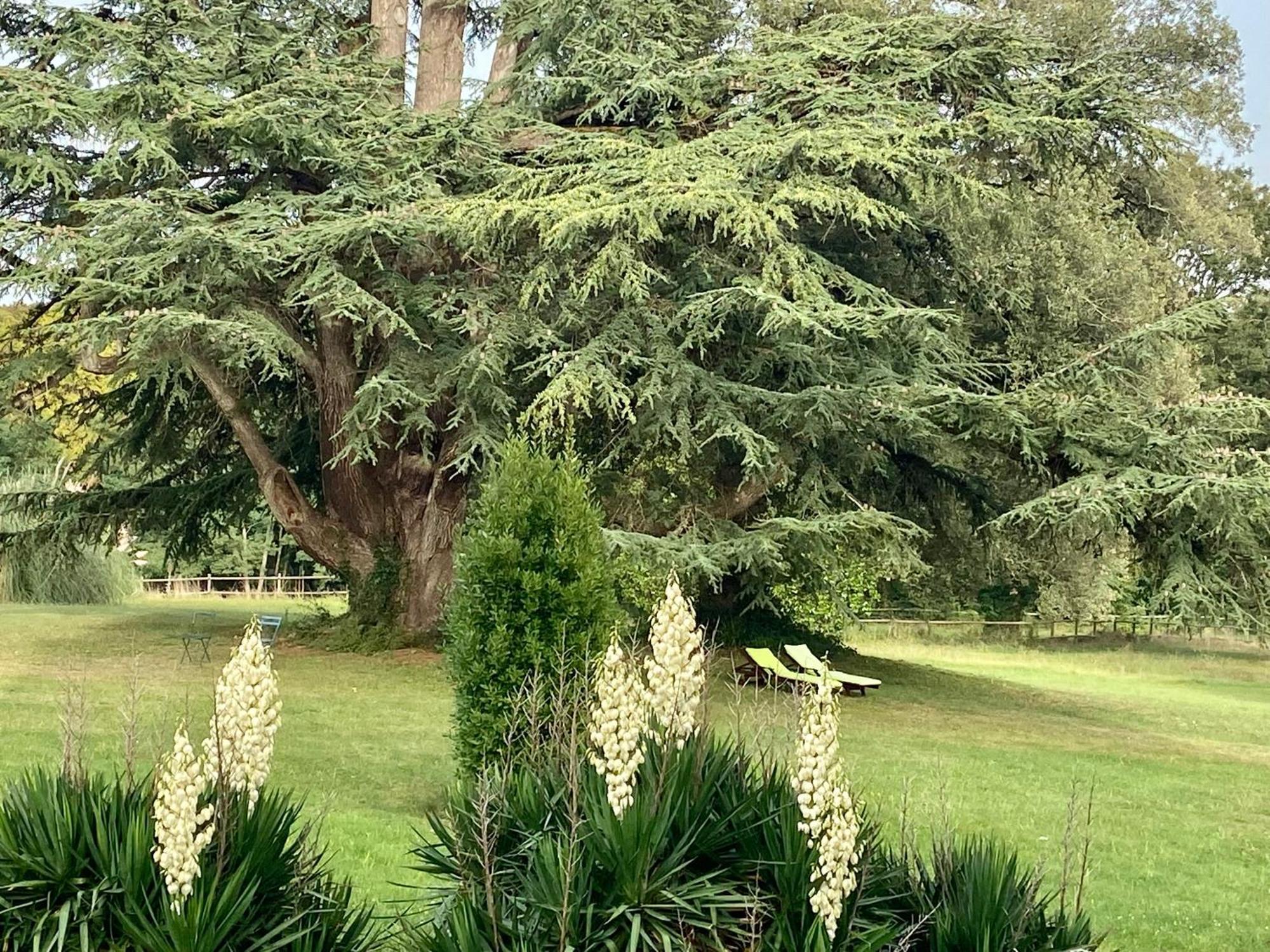 Chateau La Bainerie Tierce Bagian luar foto